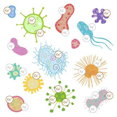 Bacteria and Ions